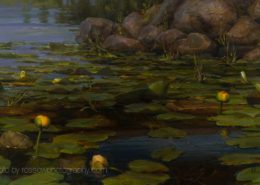 Artwork Photography of Lilly Pads-by-Mary Pettis