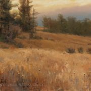 Artwork Photography of Meadow-at-Dusk-by-Mary Pettis