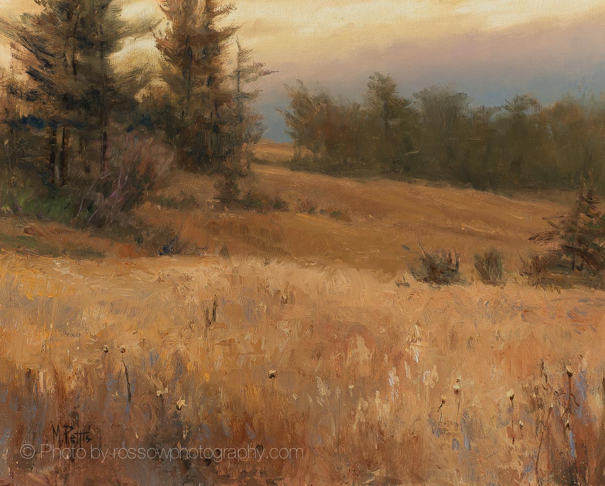 Artwork Photography of Meadow-at-Dusk-by-Mary Pettis
