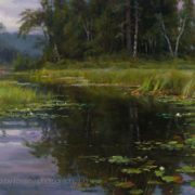 Water Lilies on Balsam Creek-Mary Pettis
