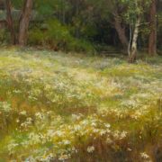 Wild Daisies - Glorious Spring-Mary Pettis