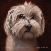 Gavin, cute dog portrait painting-Nanci Fulmek