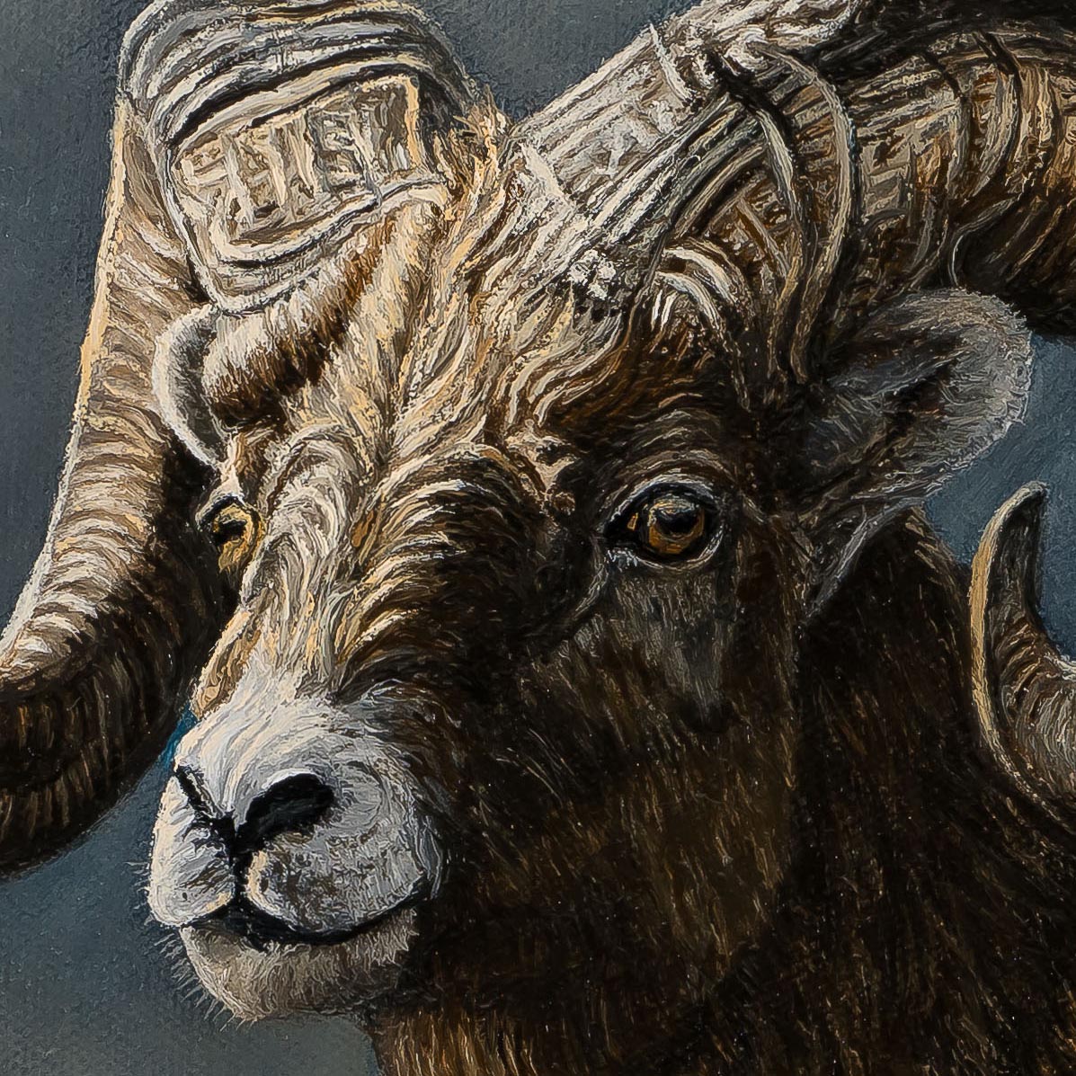 Powerful Force - Bighorn Sheep - painting by Johanna Lerwick photographed by Mitch Rossow -detail