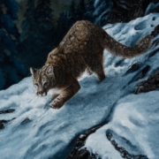 In The Night - Cougar - painting by Johanna Lerwick photographed by Mitch Rossow
