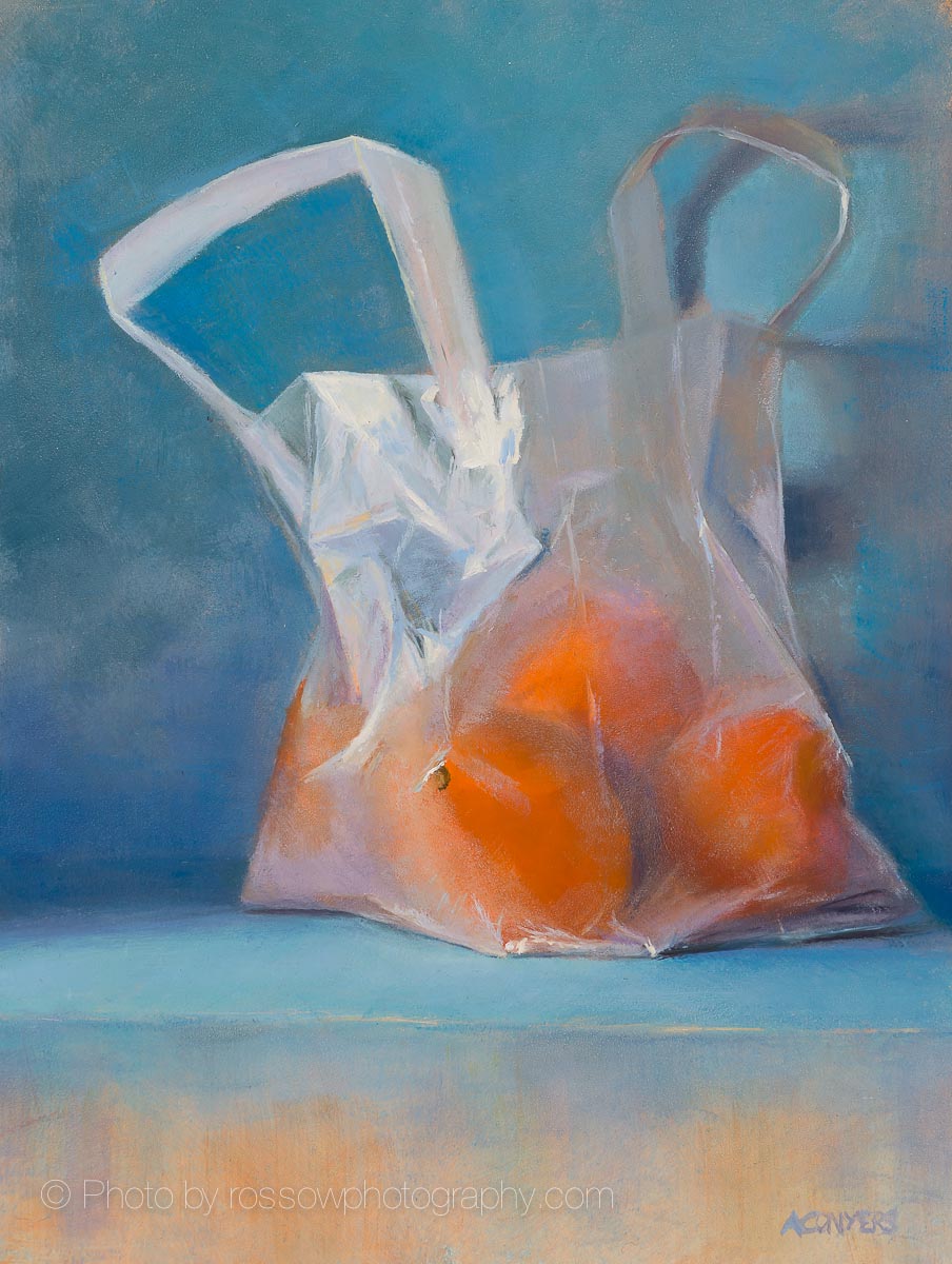 Oranges in a Bag - painting by Allison Conyers photographed by Mitch Rossow