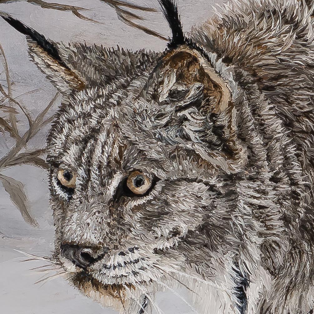 Ready to Pounce - Canadian Lynx - painting by Johanna Lerwick photographed by Mitch Rossow -detail