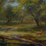 Visiter 18x32 - painting by Mary Pettis photographed by Mitch Rossow