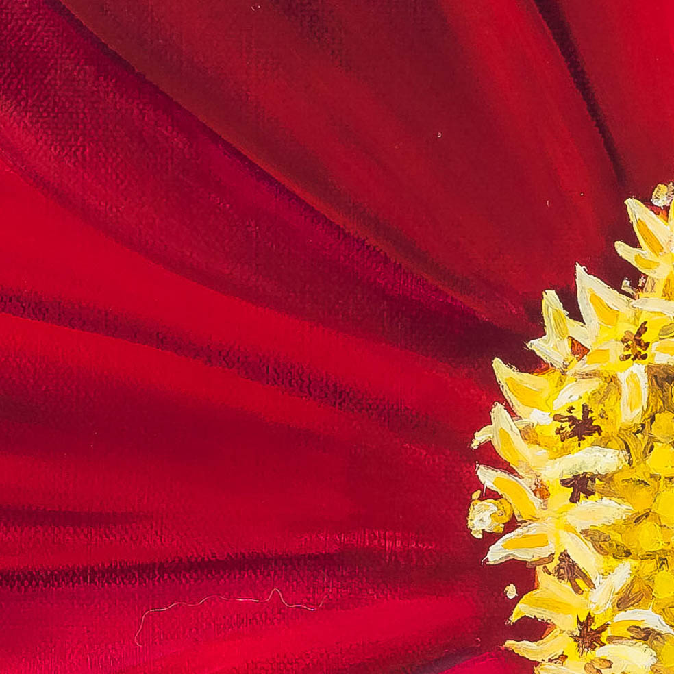 Red Velvet Cosmos-painting by-Leanne Hanson-detail-210428