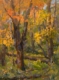 Sue Wipf painting photographed by Mitch Rossow - Maria State Park Autumn