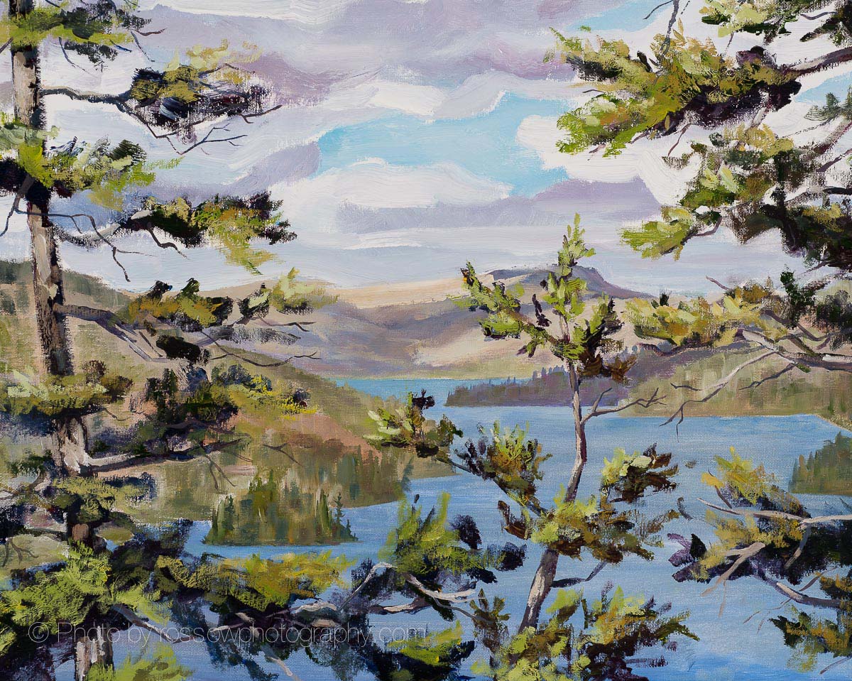 Dan Olson painting photographed by Mitch Rossow - View From Honeymoon Bluff