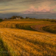 Hannah Heyer painting photographed by Mitch Rossow - Summer Fields 24x36