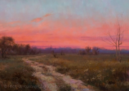 Mary Pettis painting photographed by Mitch Rossow - Field Road and Meadowlarks 24x32