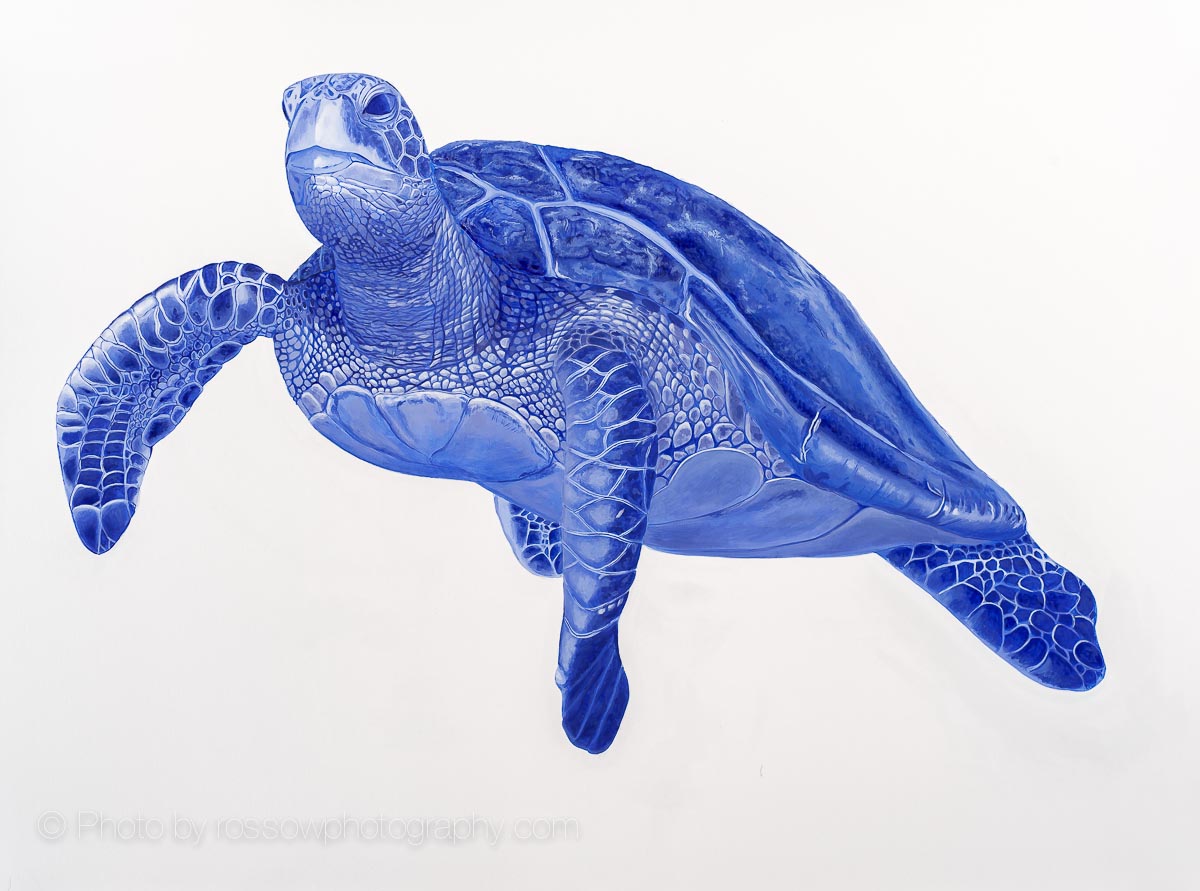 Megan Johnson painting photographed by Mitch Rossow - Scarlet the Sea turtle