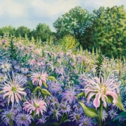 Leanne Hanson painting photographed by Mitch Rossow - Bee Balm Meadow