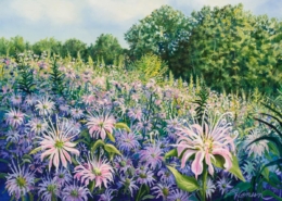 Leanne Hanson painting photographed by Mitch Rossow - Bee Balm Meadow