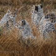 Johanna Lerwick painting photographed by Mitch Rossow - Camouflaged Siblings