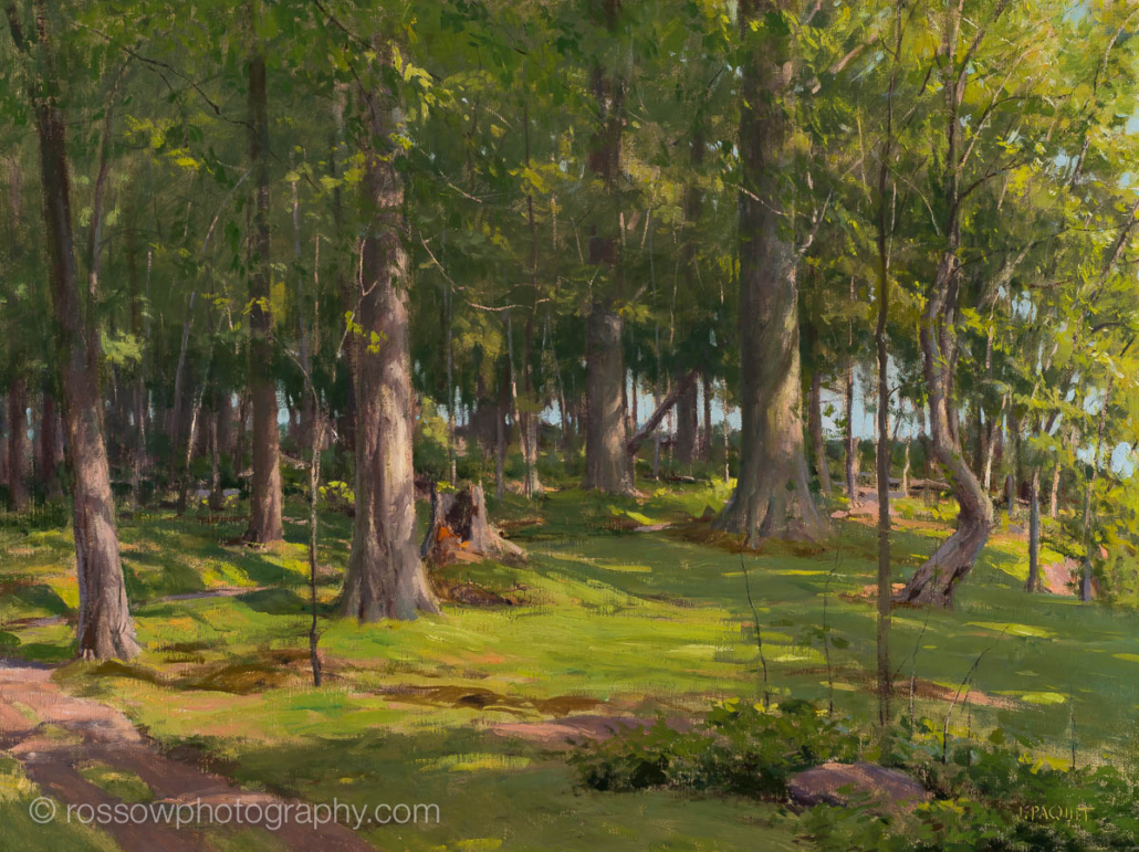 Joe Paquet painting photographed by Mitch Rossow - Morning, Madeline Island 40x60