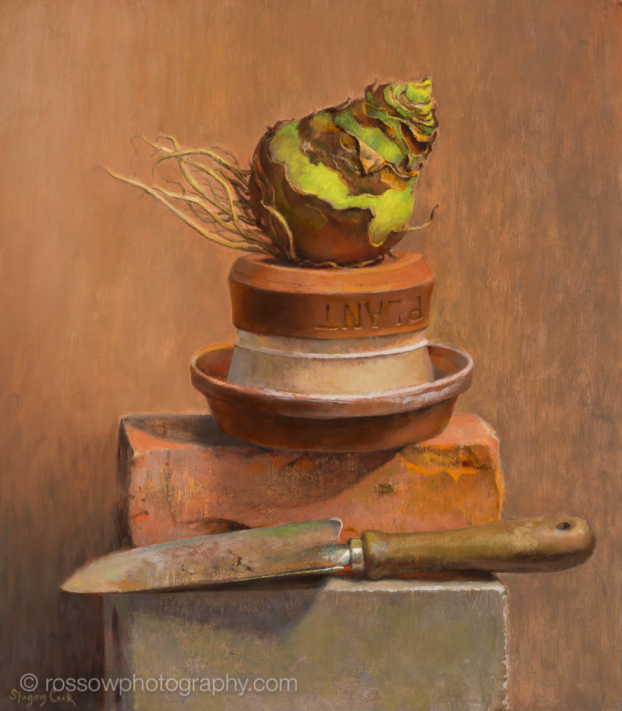 Susan Steging Cook painting photographed by Mitch Rossow - Plant 16x14