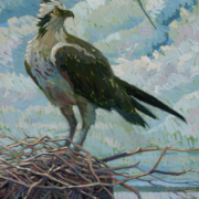 Adam Turner painting photographed by Mitch Rossow - Nesting at Port Mahon 24x36