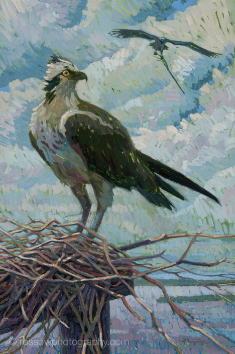 Adam Turner painting photographed by Mitch Rossow – Nesting at Port Mahon 24×36 Adam Turner painting photographed by Mitch Rossow - Nesting at Port Mahon 24x36