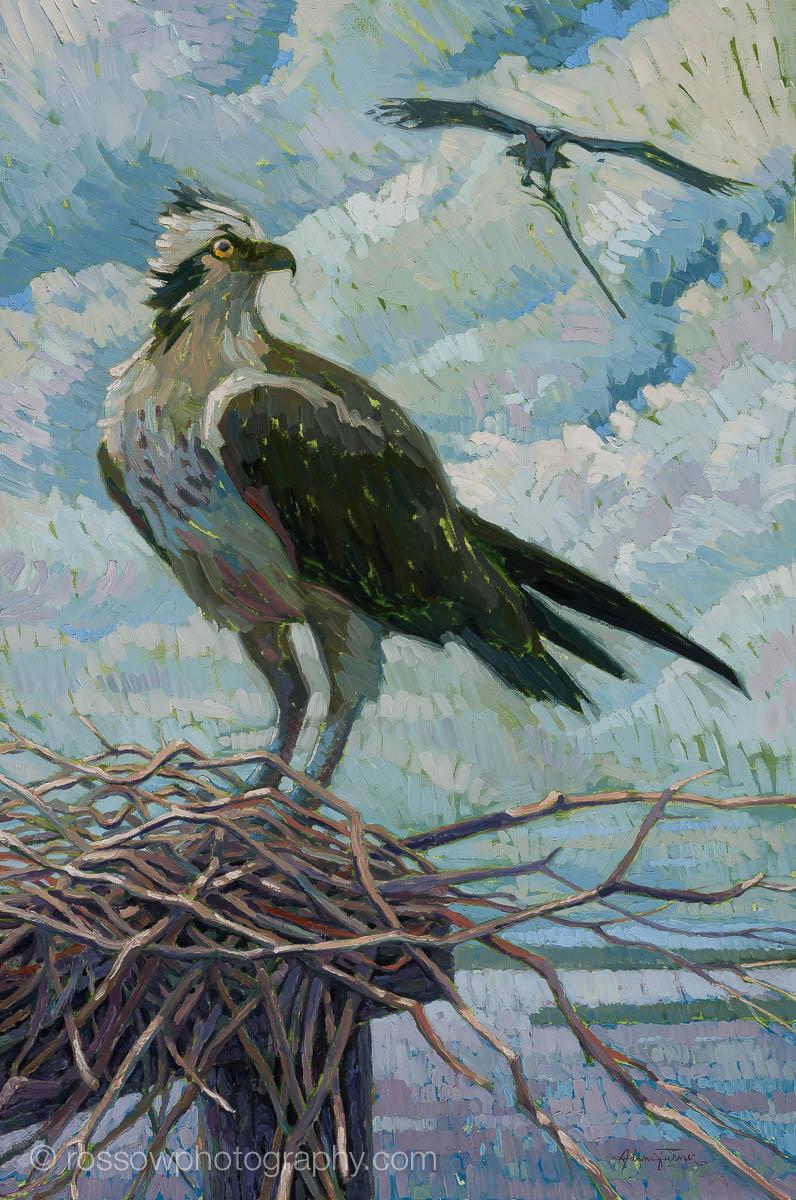 Adam Turner painting photographed by Mitch Rossow - Nesting at Port Mahon 24x36