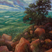 Adam Turner painting photographed by Mitch Rossow - Wichita Morning Overlook 48x72